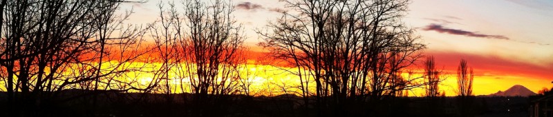 20110202-072316.jpg