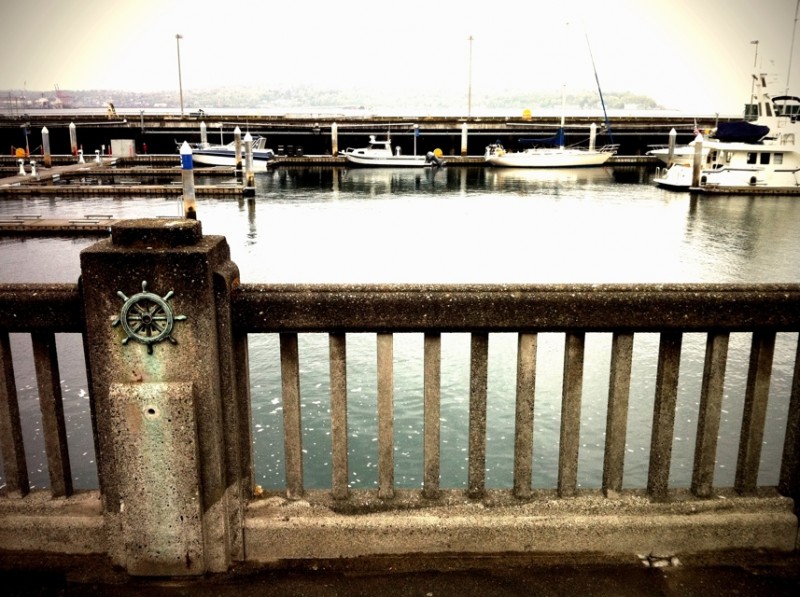 20110505-083348.jpg